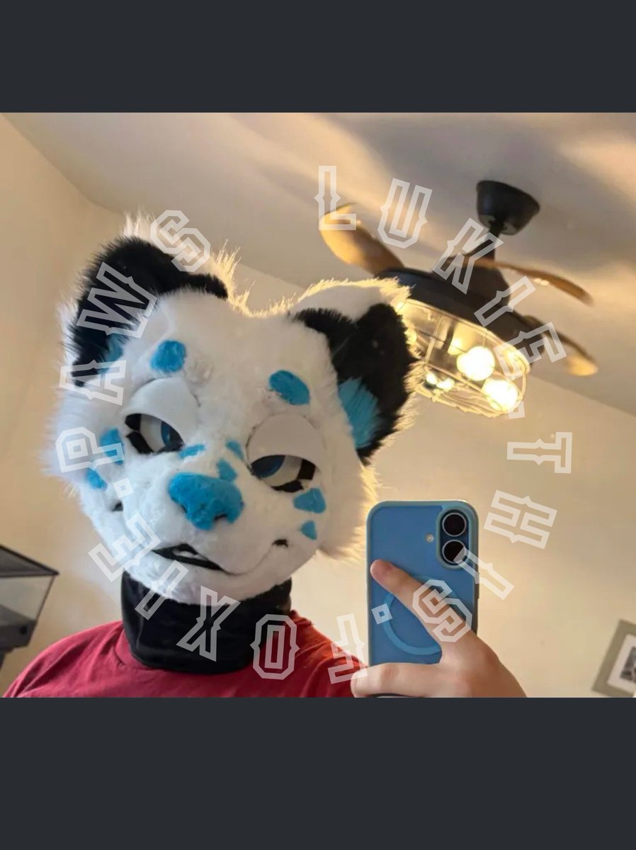 FOXIE🦊🐱 tweet media
