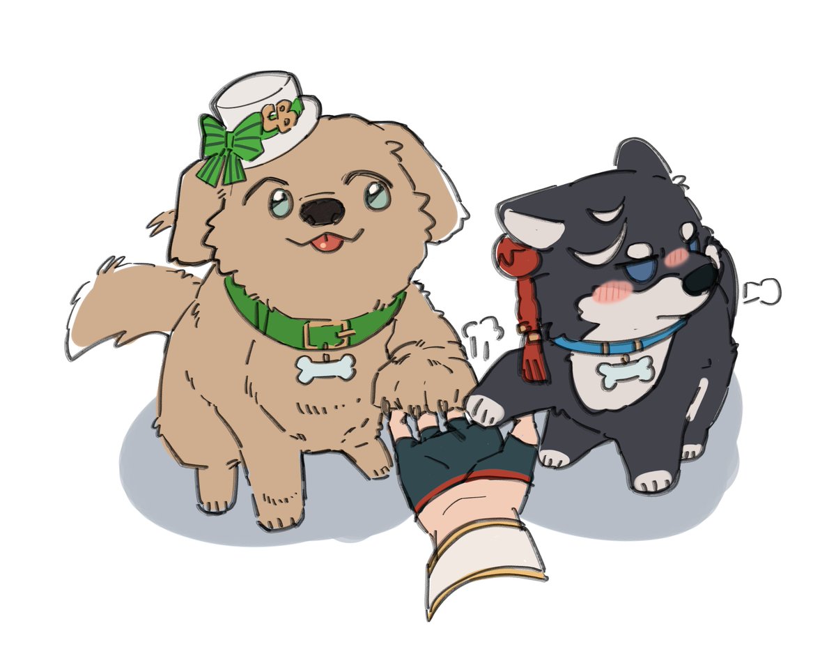 SnoReo ☃️ tweet media