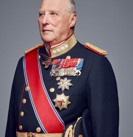 Sharky222 tweet media