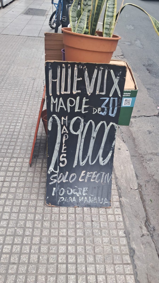 Enrique Quintana tweet media