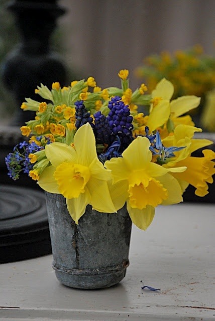 Francisco Ribeiro tweet media