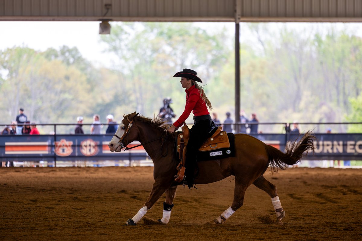 Southeastern Conference tweet media