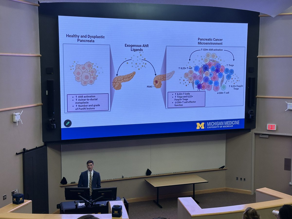 timofran tweet media