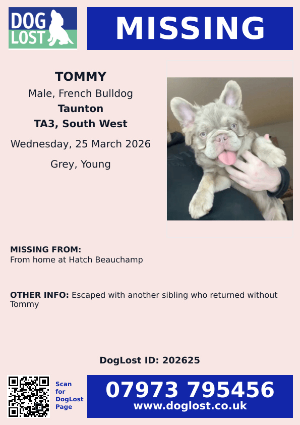 chris towers tweet media