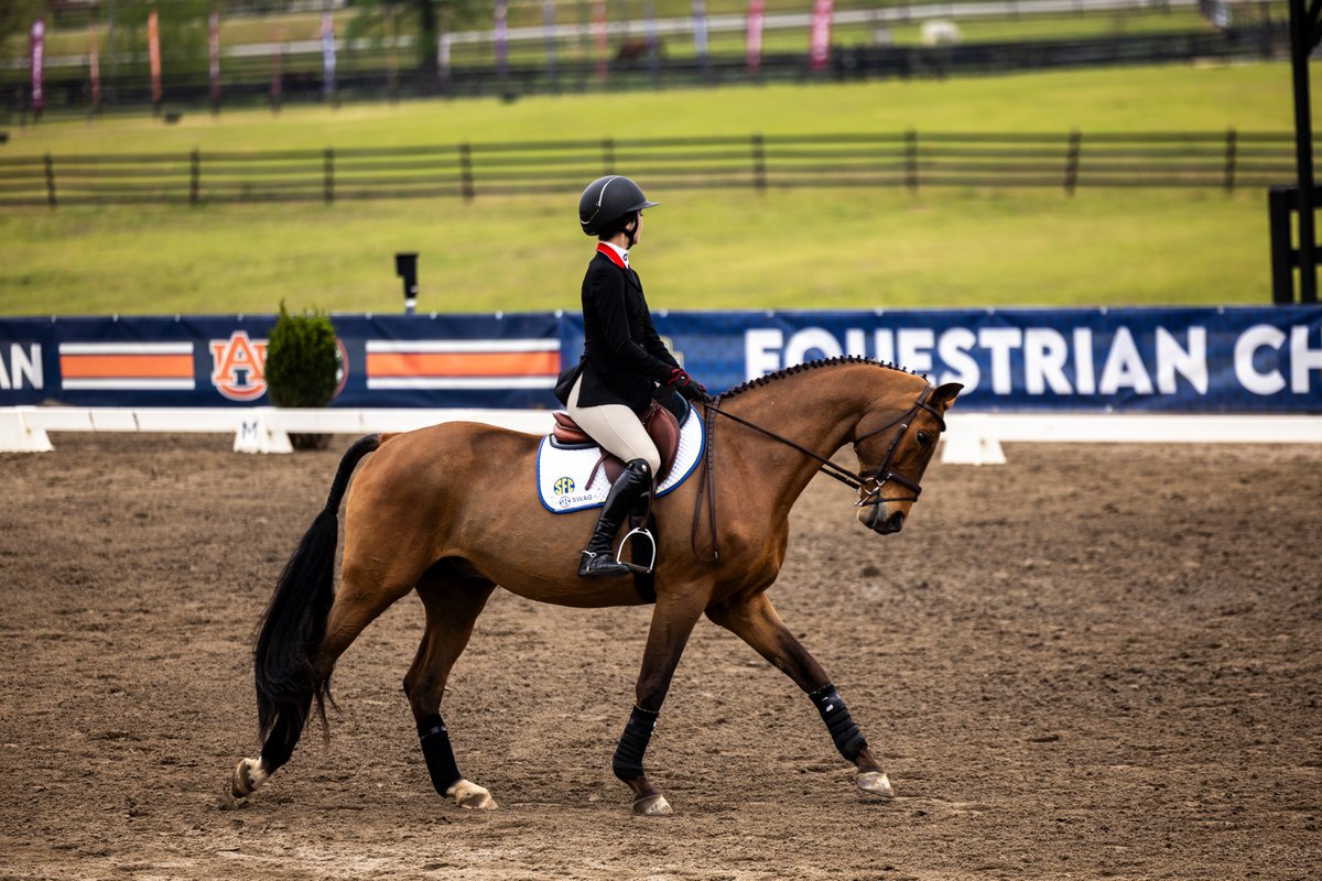 Southeastern Conference tweet media