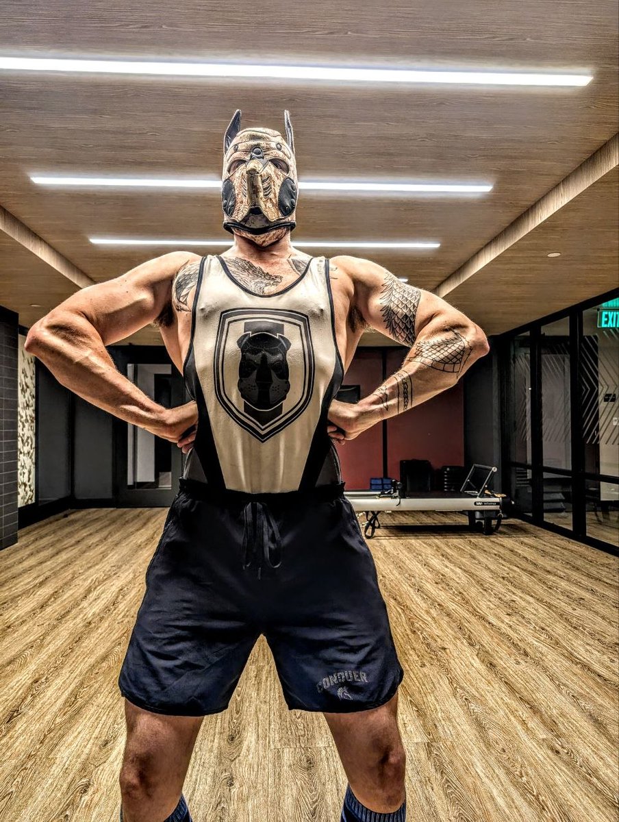 Alpha Pup Templar tweet media