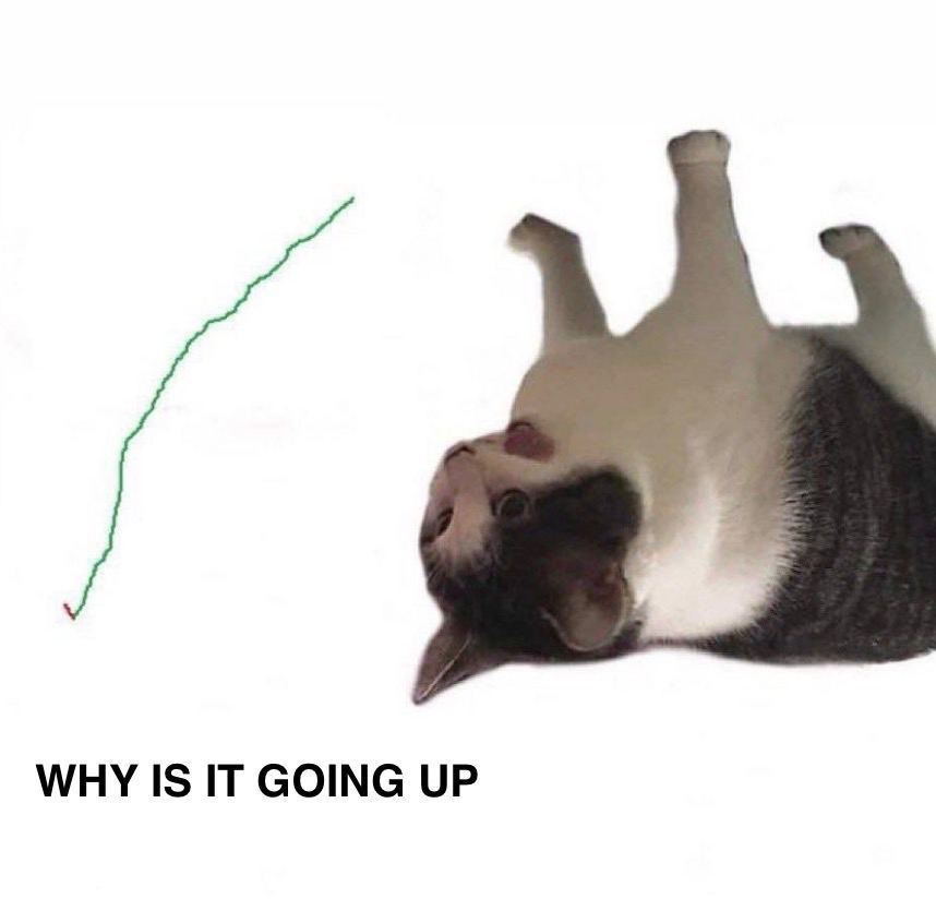 pixtract tweet media