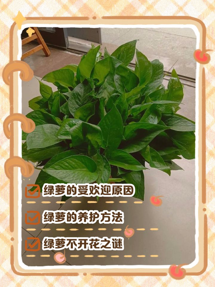 Oswaldo Delfin Gil tweet media