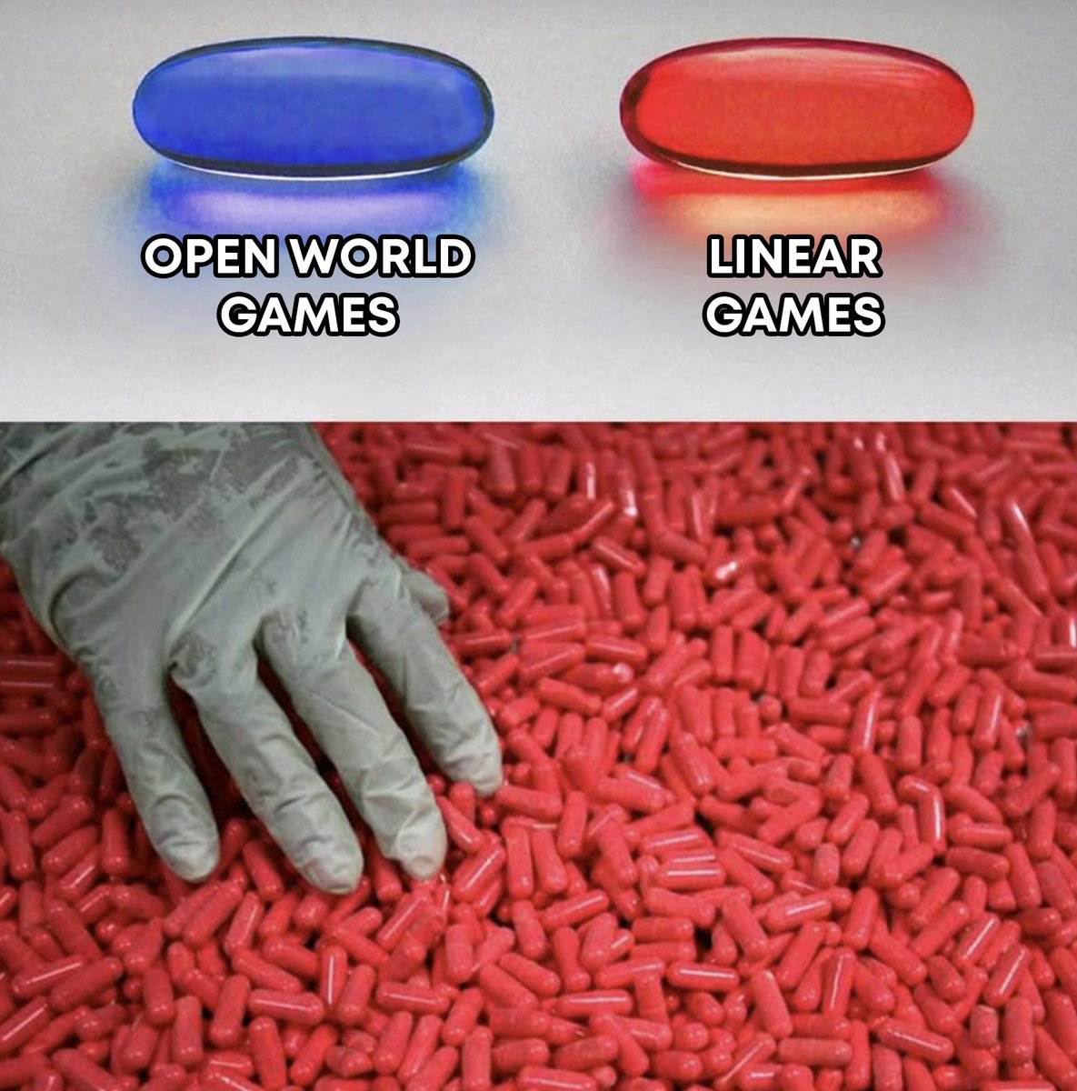 Rino🚀 tweet media