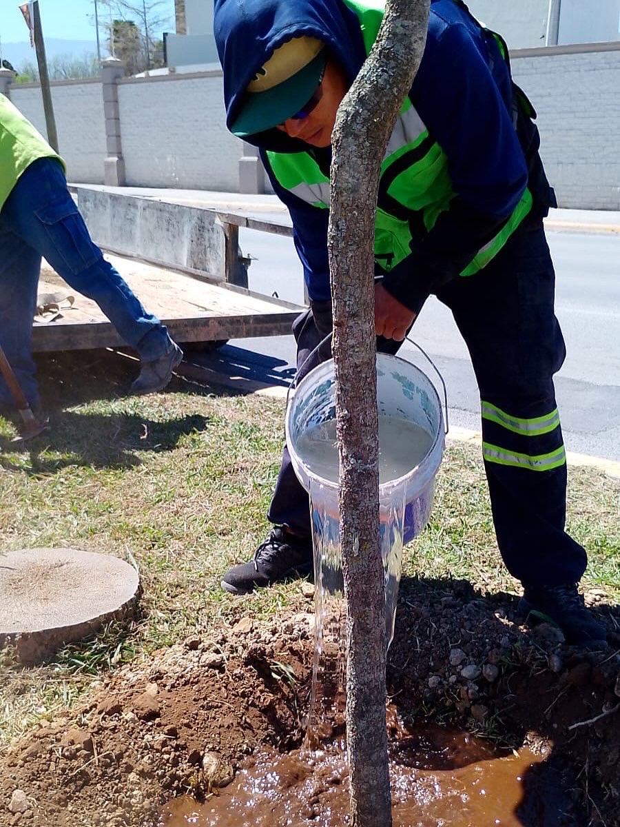 Gobierno Municipal de Saltillo tweet media