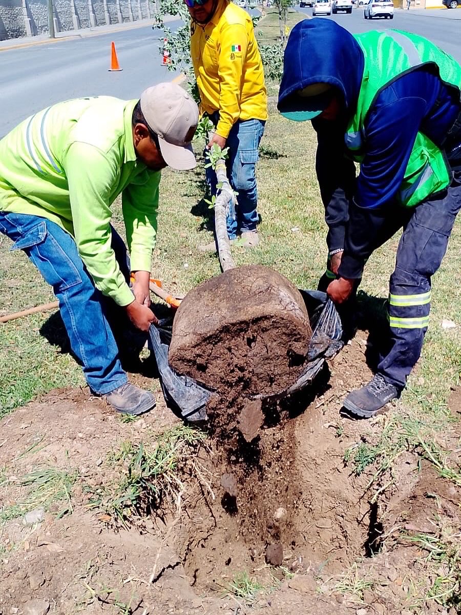 Gobierno Municipal de Saltillo tweet media