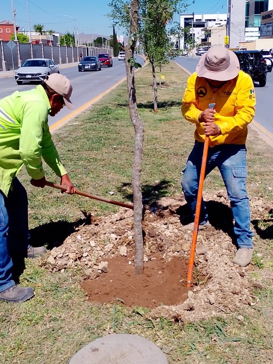 Gobierno Municipal de Saltillo tweet media