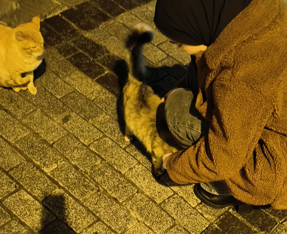 Lucie's mom tweet media