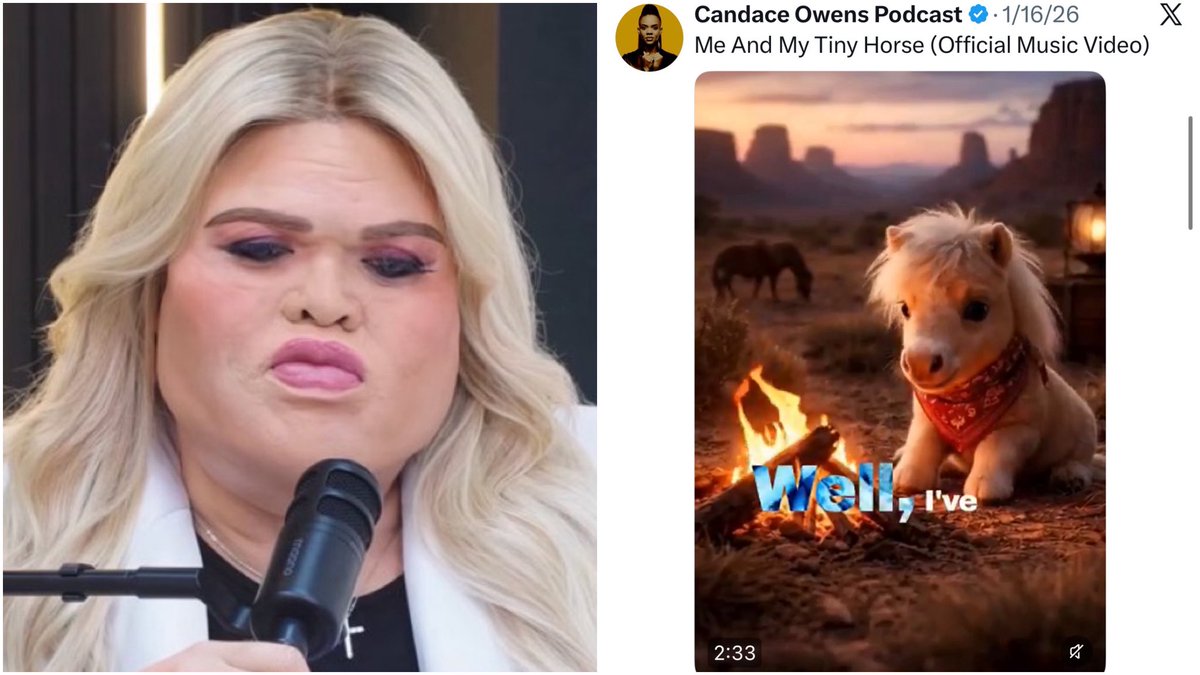 Cinema Shogun tweet media