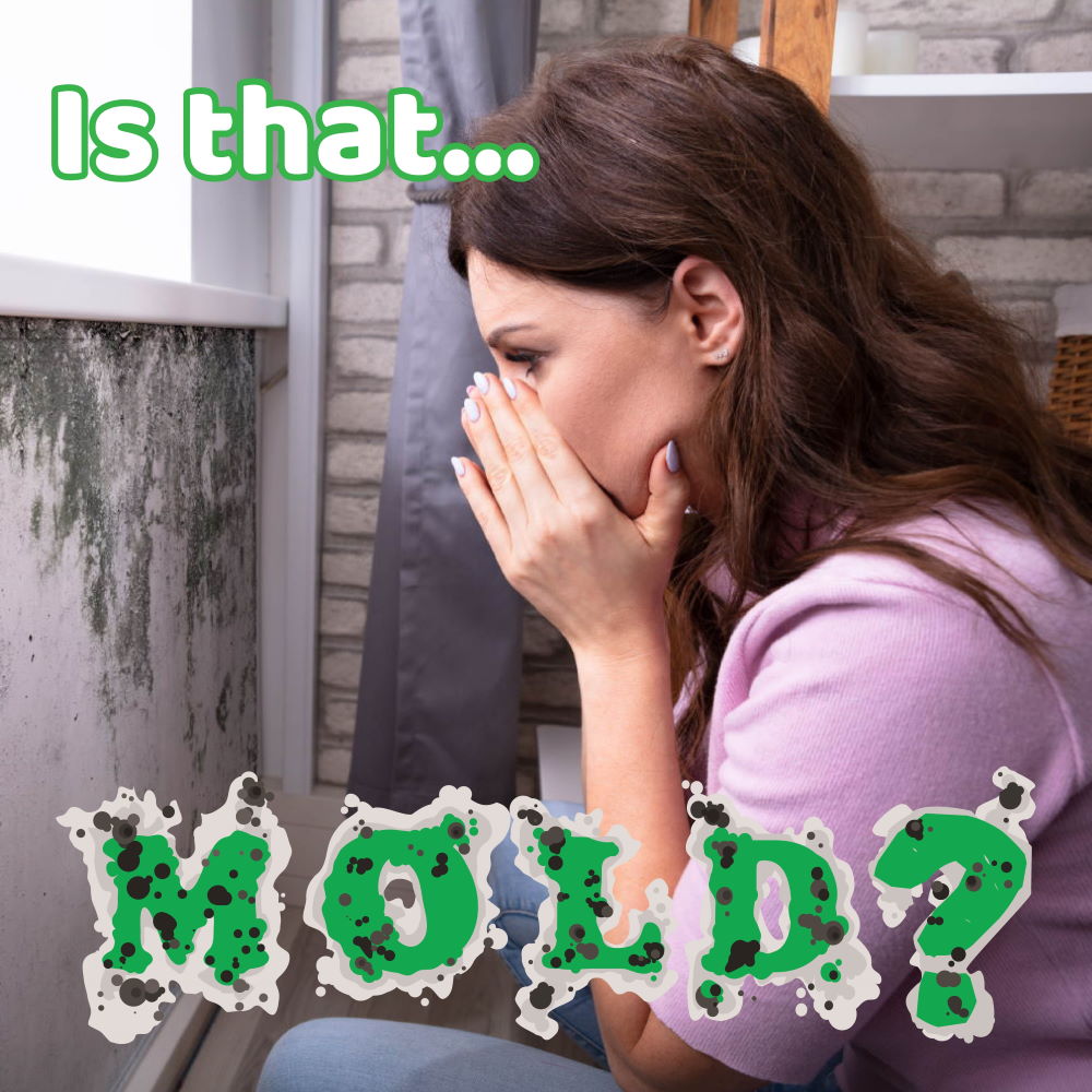 disasterblaster tweet media