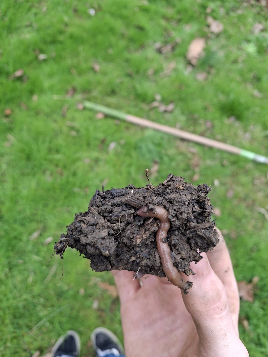 hello mr worm. im sorry but i need to plant flowers where yupr home is :) sorry lil buddy