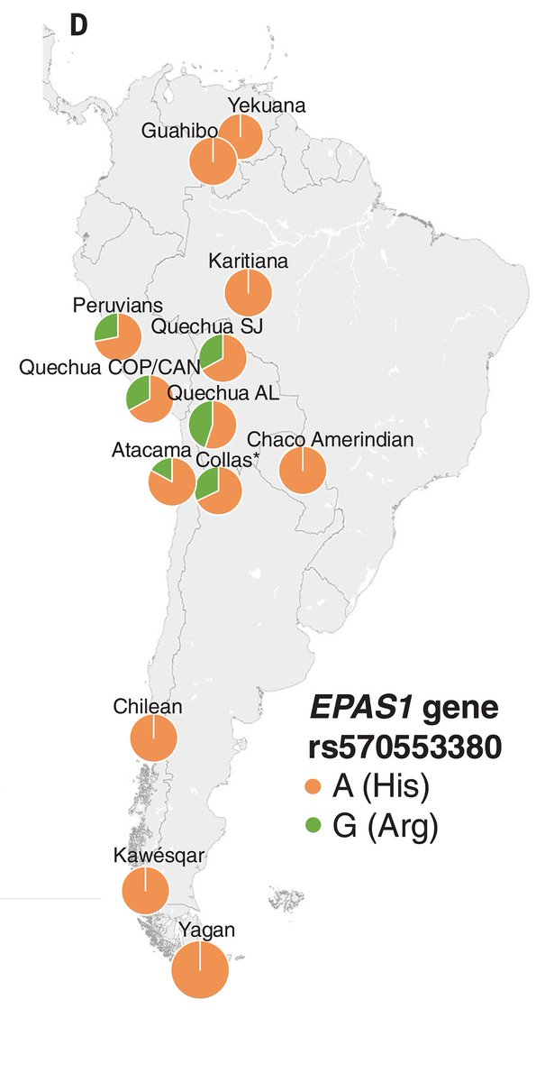 N. Delgado (Mid Castizo) tweet media