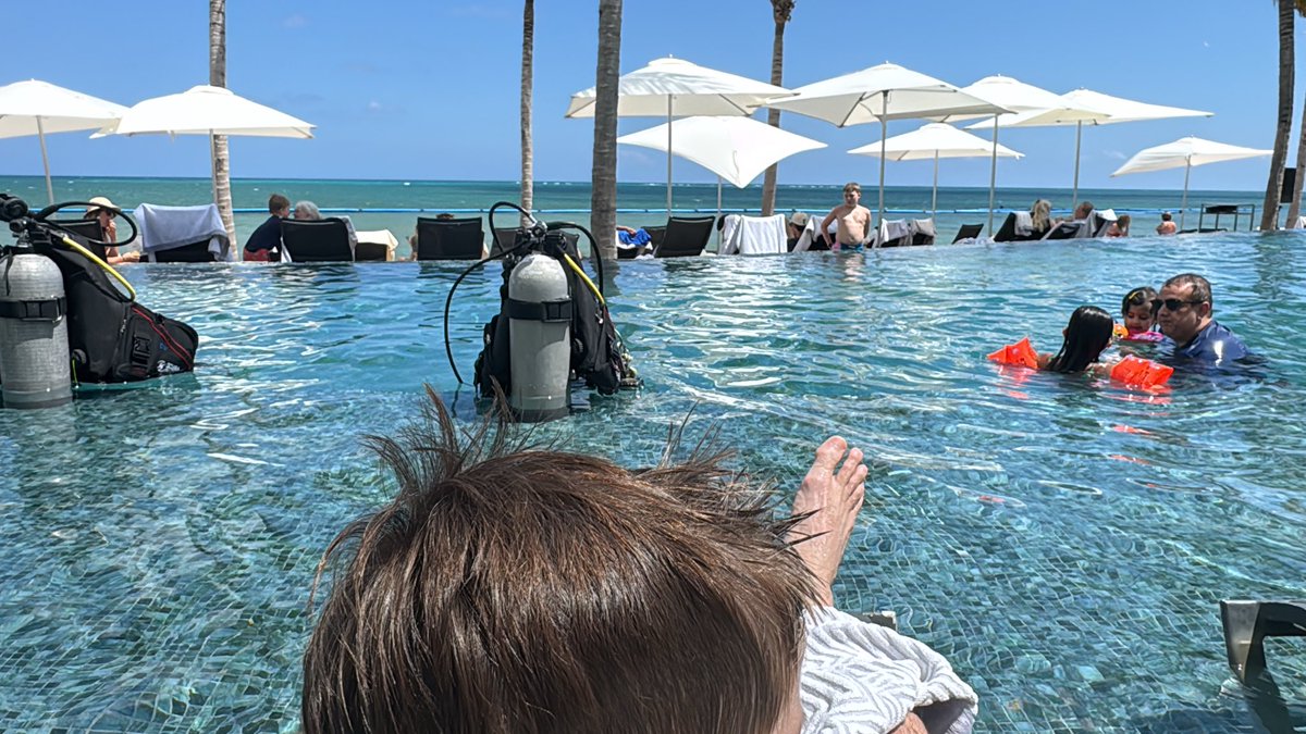 Chip Setzer tweet media