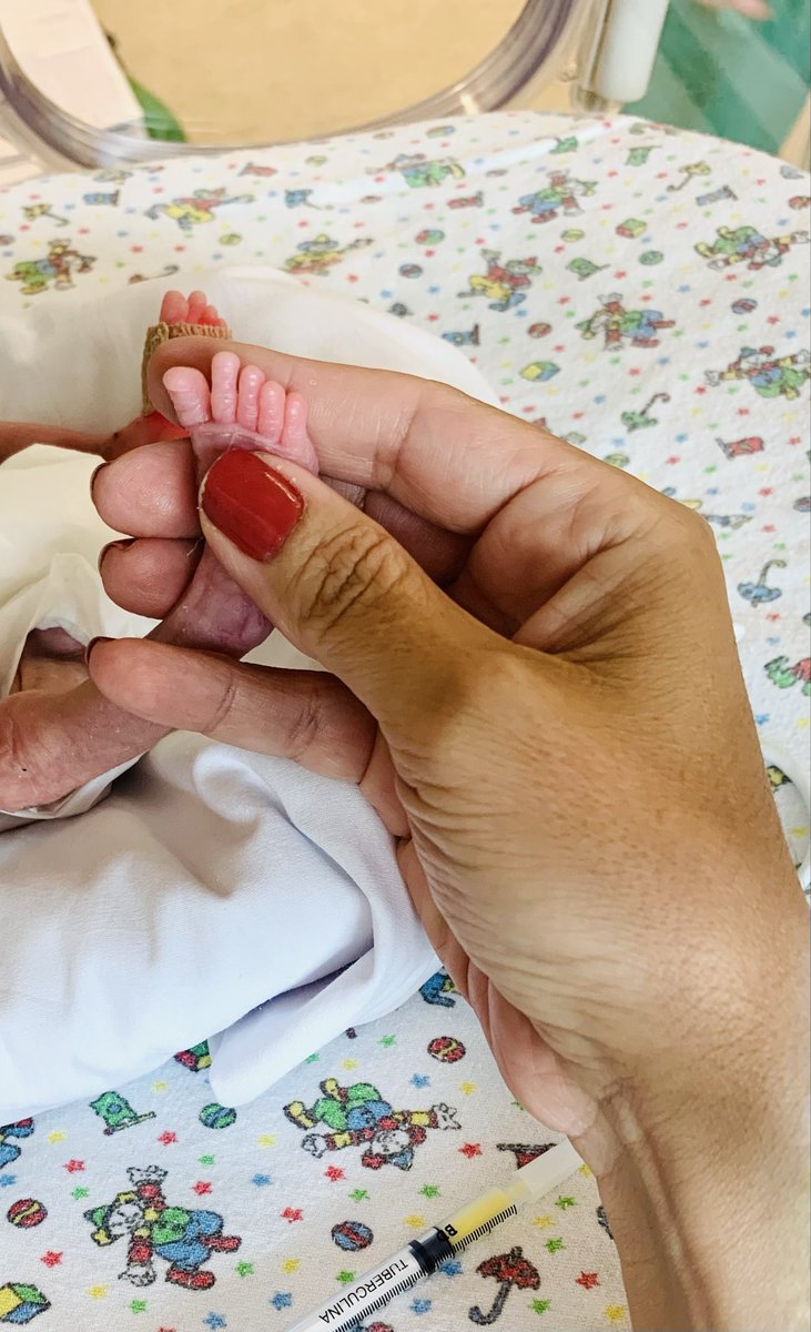 Mariana González de Oliveira, MD, MSc, PhD tweet media