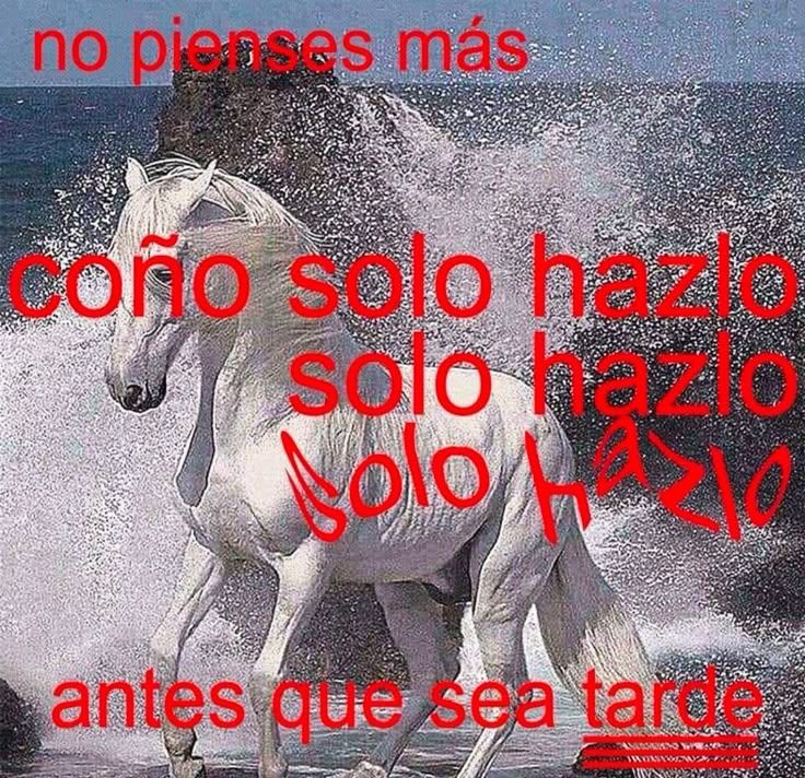 Sunny 🐽 edtwt tweet media