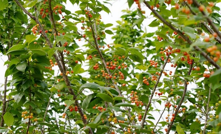 LearntoHypermile.com tweet media