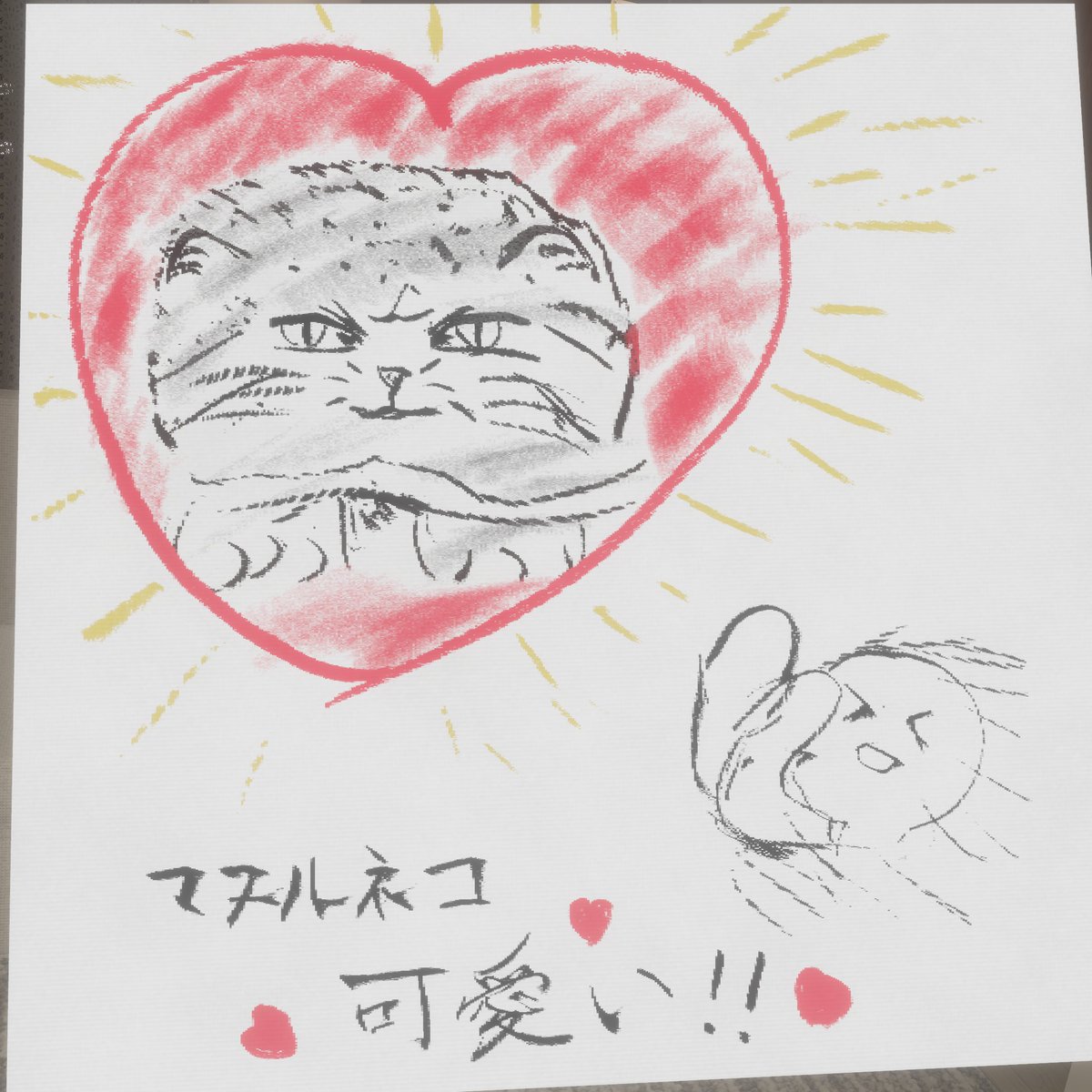 tarakokko tweet media