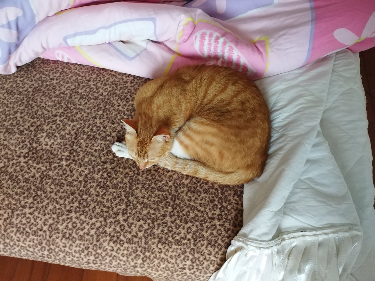 Andrew Forde tweet media