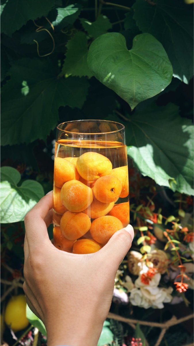 sinead deegan tweet media