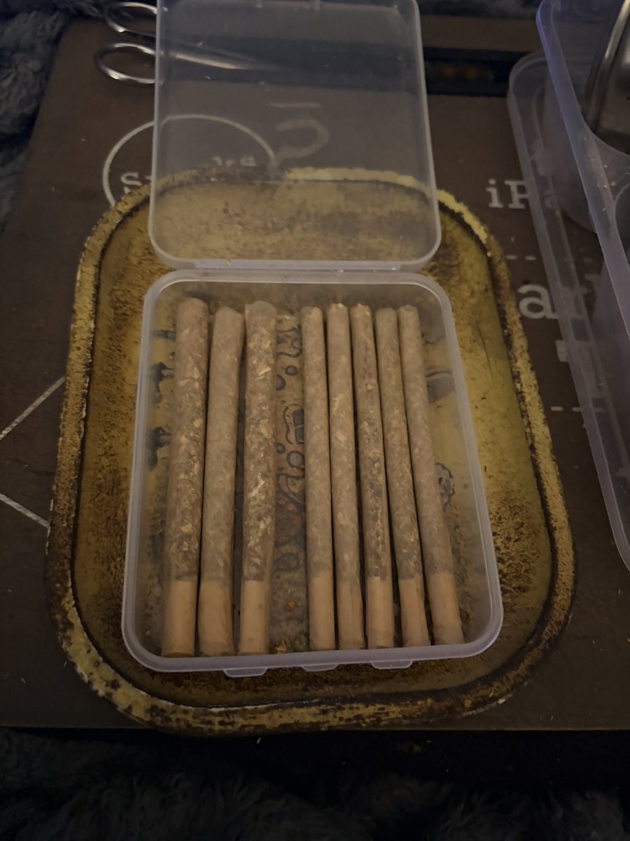 𝓒𝓱𝓾𝓫𝓫𝔂𝓘𝓷𝓴𝓮𝓭𝓖𝓸𝓭𝓭𝓮𝓼𝓼💋April 5th🎉 tweet media