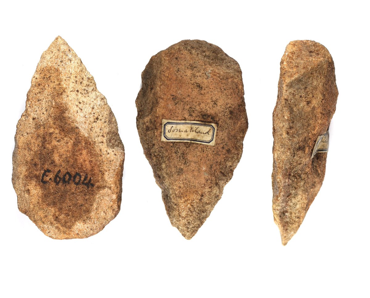 Abdirahim Dheegsan: Berbers of the HoA(RSL) tweet media