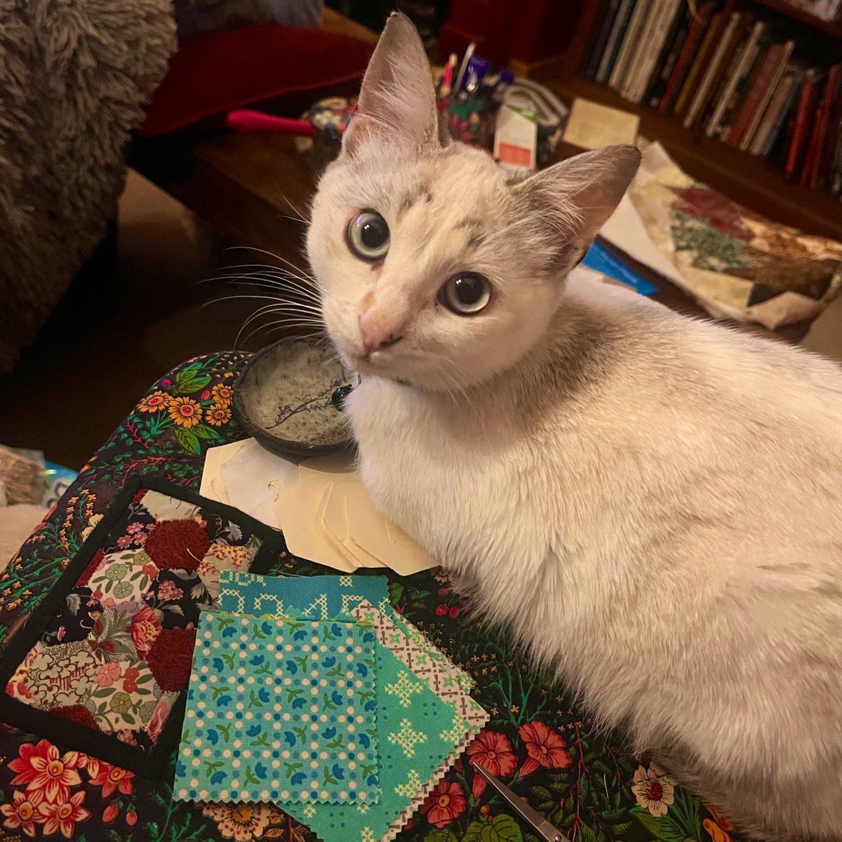 mná_mná tweet media