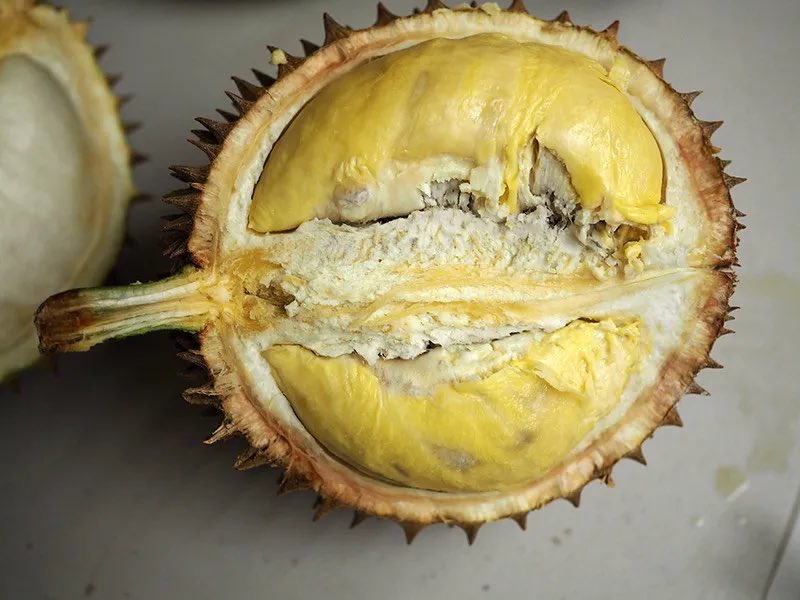 Tianzhe 天哲 tweet media