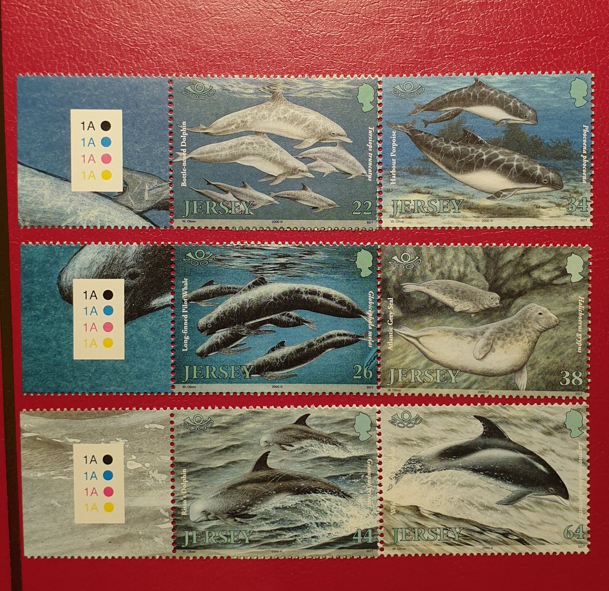 Shane McDonnell tweet media