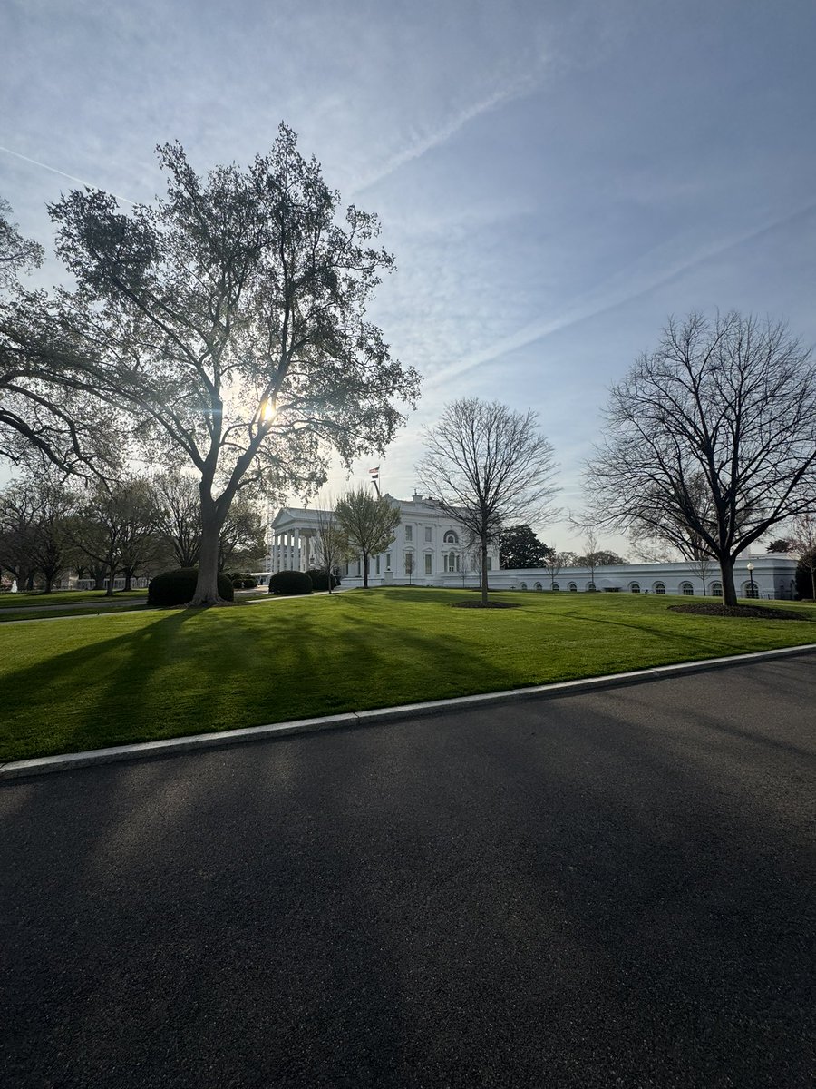 Will Mayrick tweet media