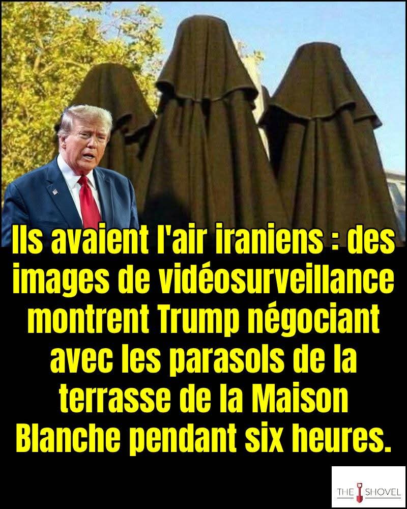 emily dumortier #TAEM #TEAMLecornu tweet media