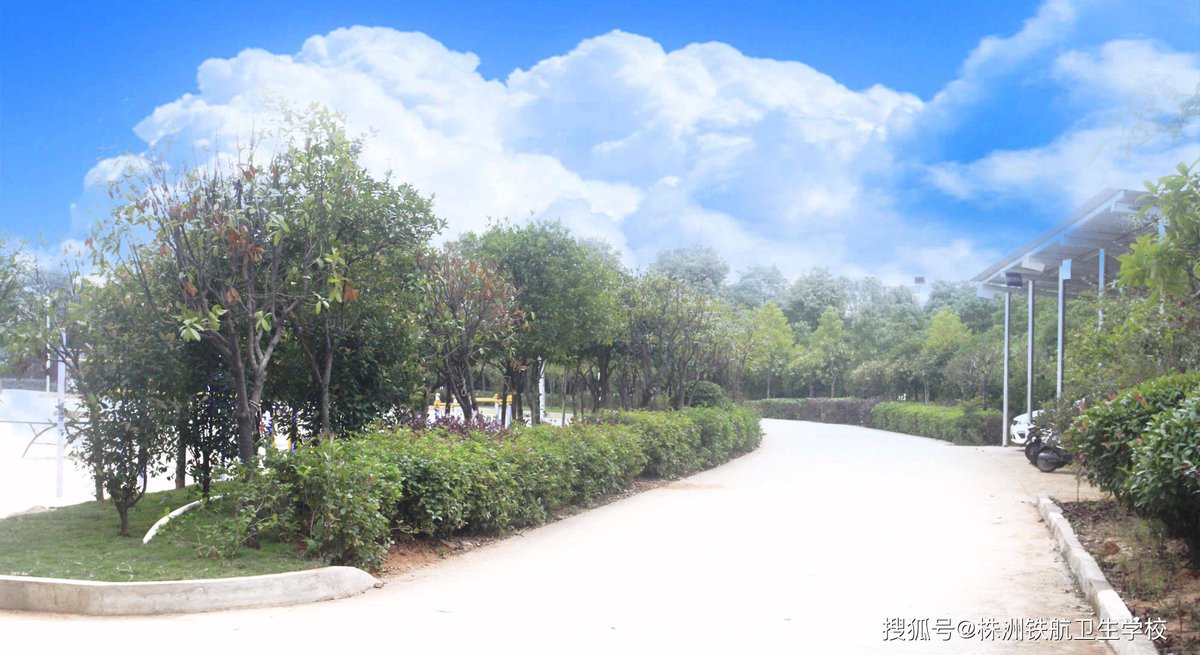 Gabriel Cortez tweet media