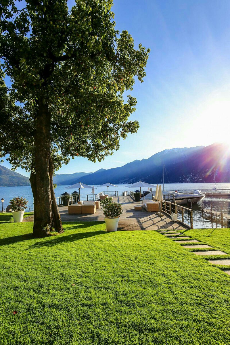 only aesthetic tweet media