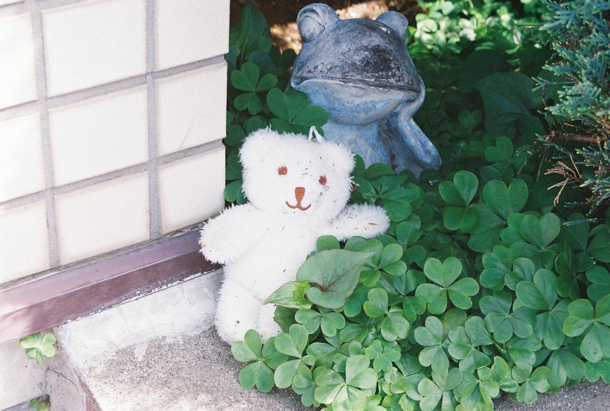 さくらい うみべ tweet media