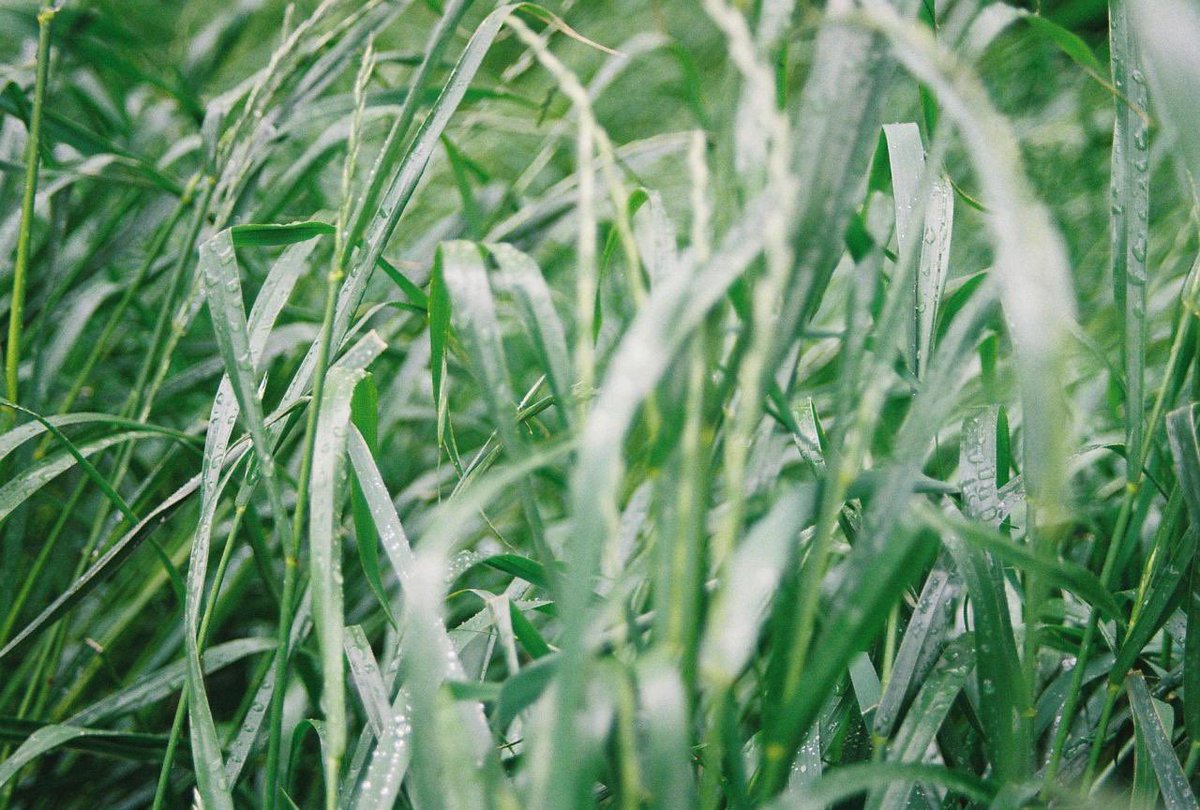 さくらい うみべ tweet media