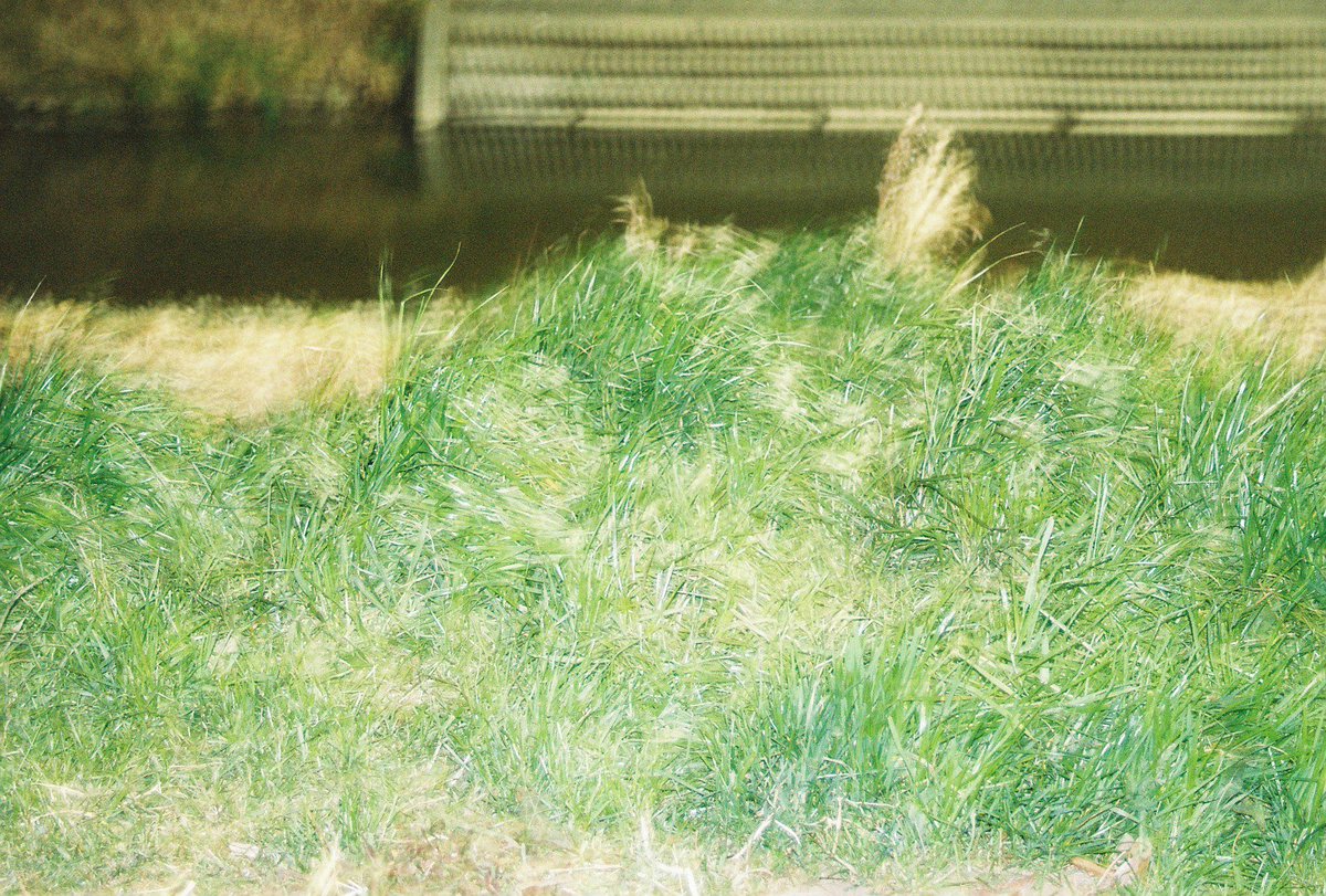 さくらい うみべ tweet media