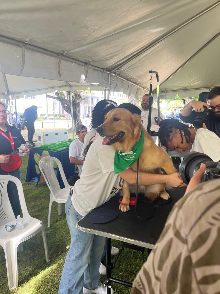 Movimiento Social Pro Bienestar Animal (MOSPBA) tweet media