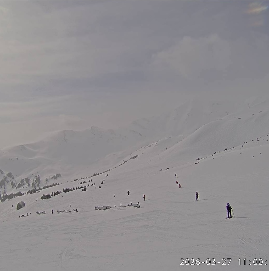 OnTheSnow tweet media