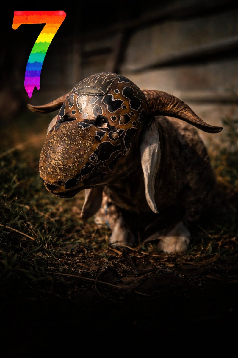 DjoOLi'ga Officiel tweet media