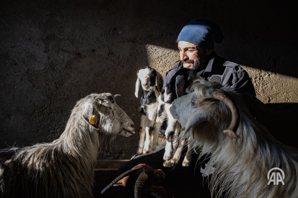 Sidar Eren tweet media