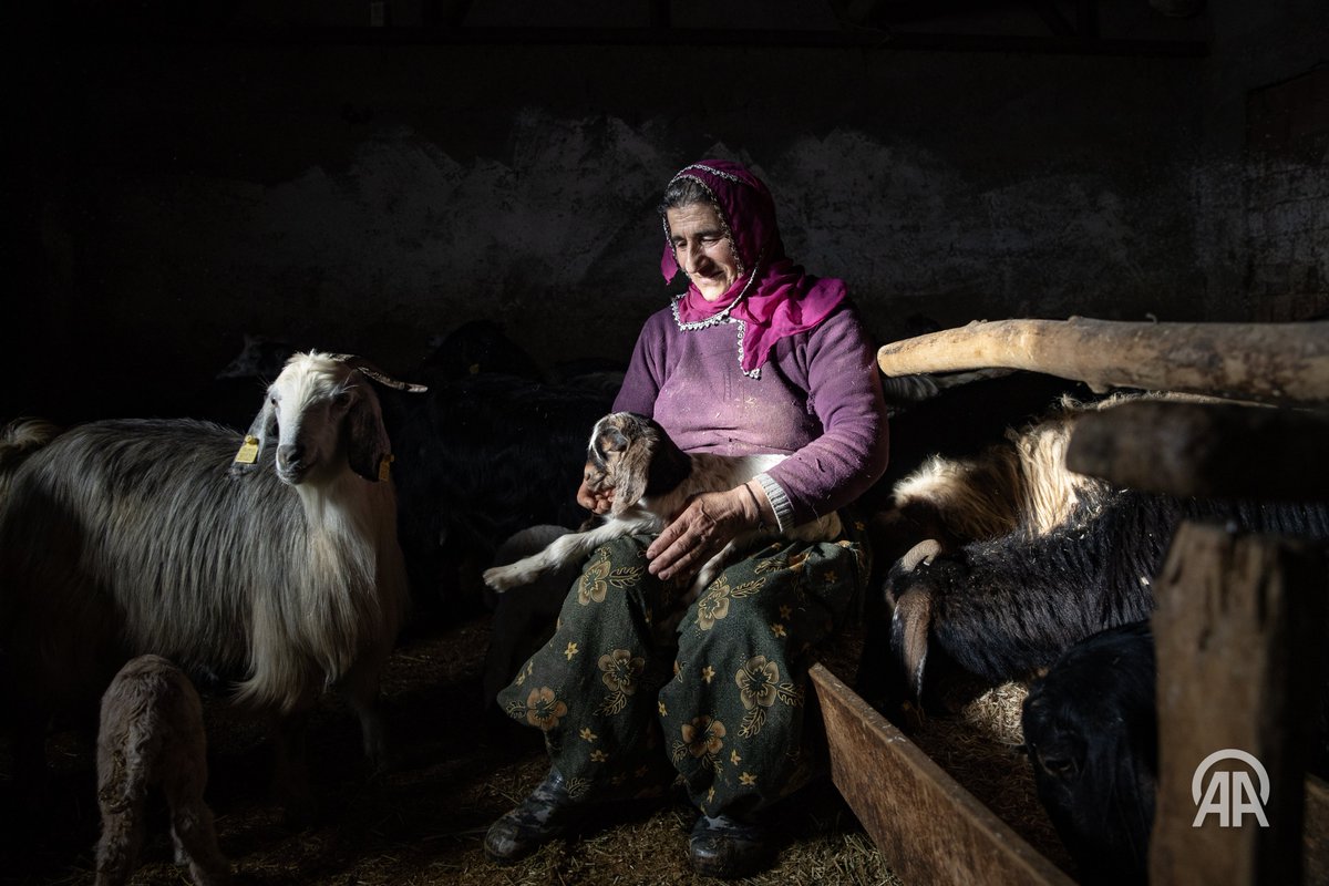 Sidar Eren tweet media