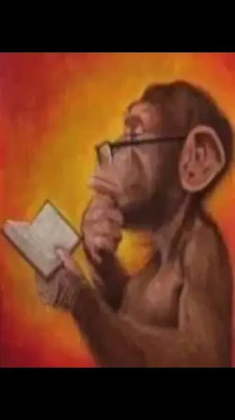 man of the Lord tweet media