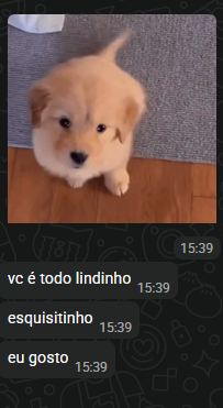 P 🕷️ tweet media