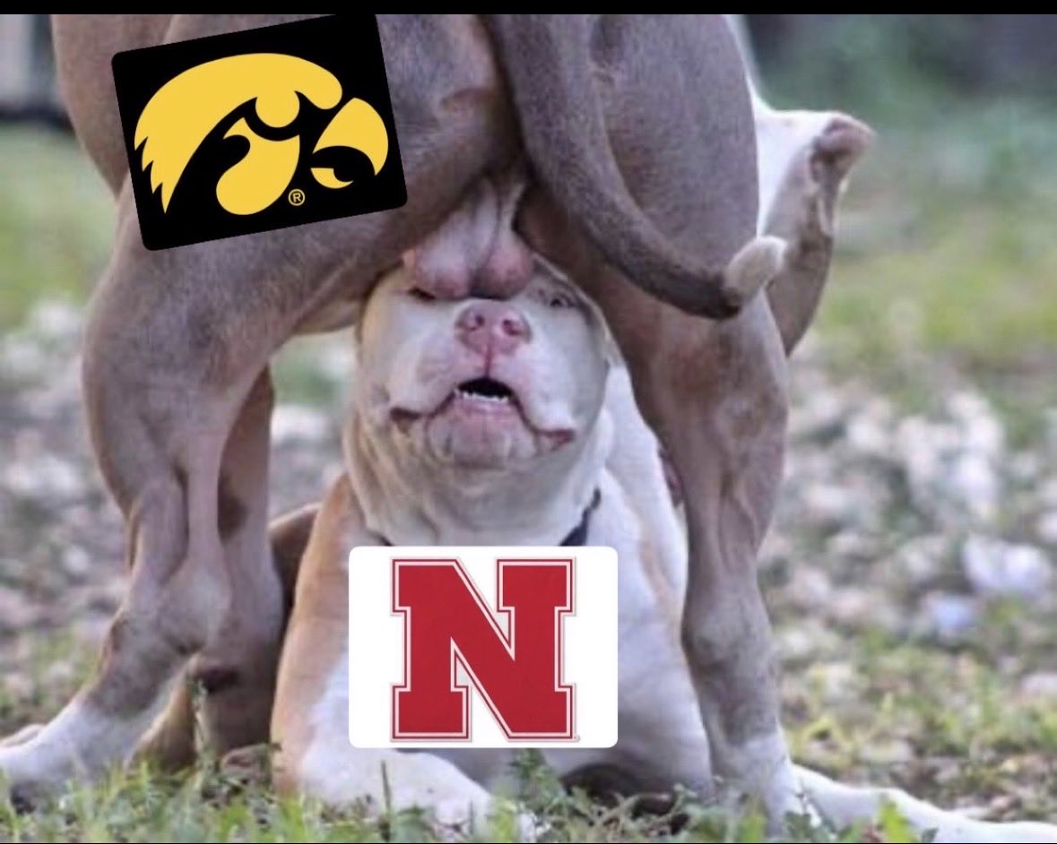 Roy Gerbil, MBA tweet media