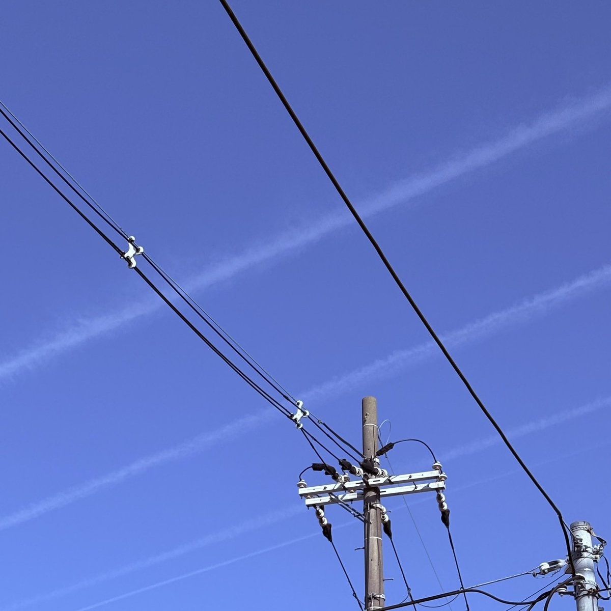 MITEI NARICO☆。.:＊・（ミテイナリコ） tweet media