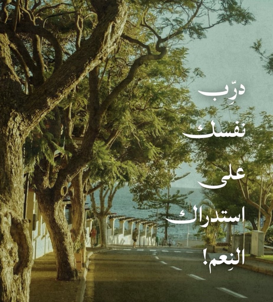 أ.علوية منقل tweet media